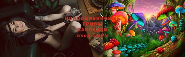 круглые Алзамай