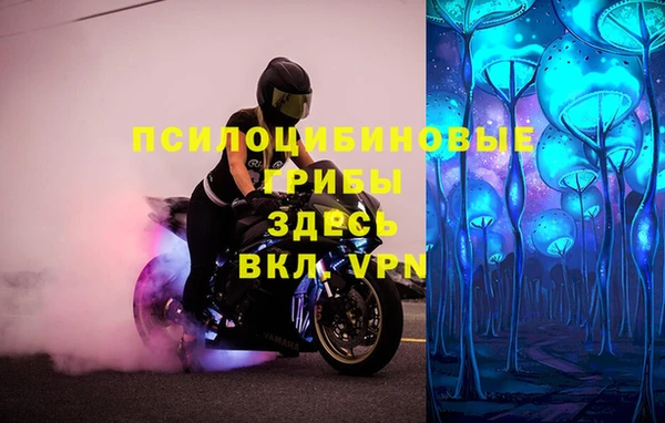 прущая мука Алексин