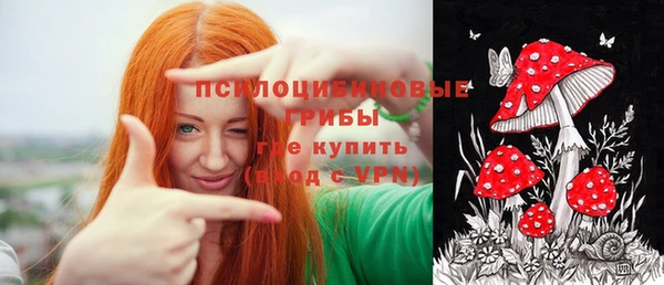 круглые Алзамай