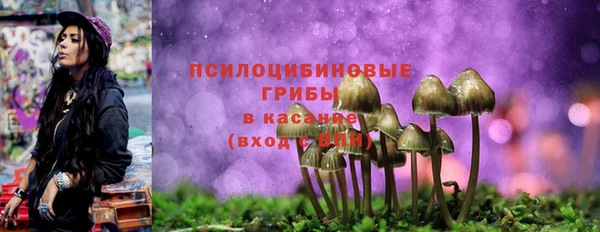 круглые Алзамай